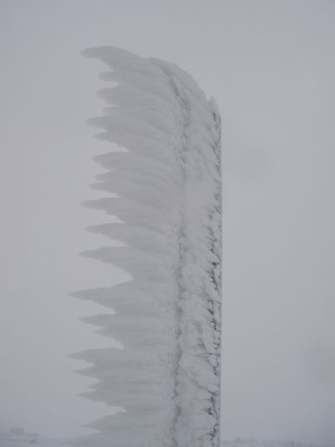 Rime on marker post shows history of wind direction-pointing round the corner as wind changes!