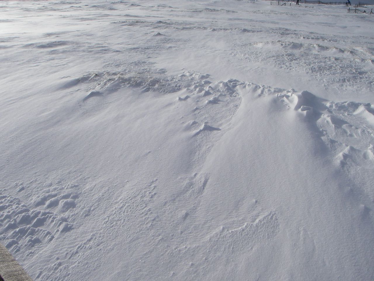 Signs of wind redistribution  of snowpack. 