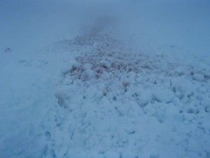 Avalanche in the mist