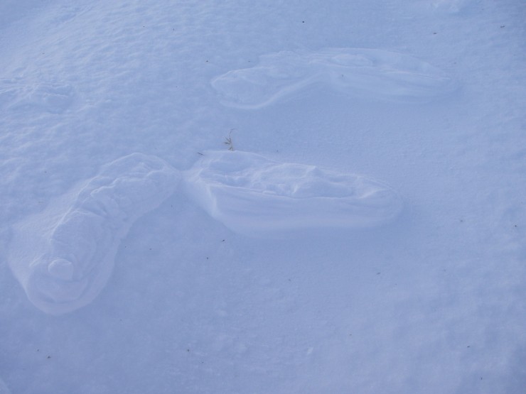 Compressed snow footprints left by wind erosion