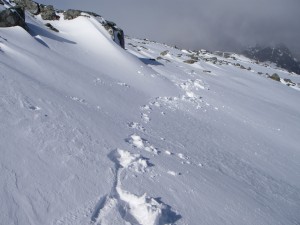 Another pleasant day