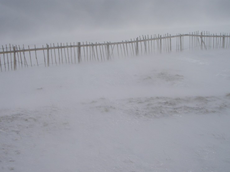 Wind transported snow sweeps along a foot above the ground