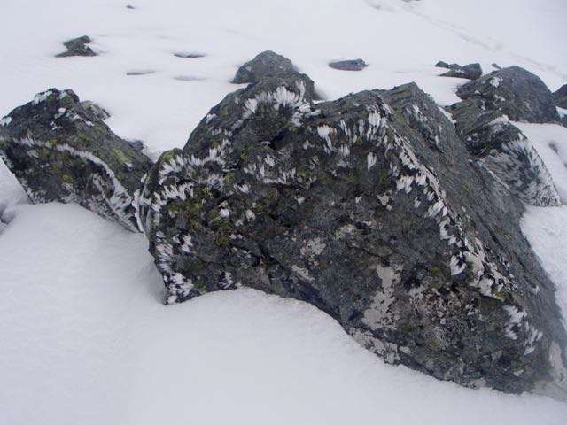 Rime on rocks at 1100 metres.
