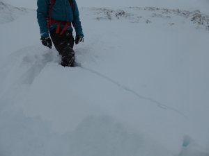 Fresh snow and wind sheltered locations.