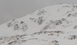 Very windy with snow showers