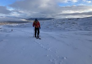 The White Room this morning.