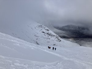 Whiter than white mountain tops…