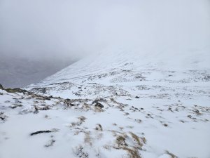 Easterly Gales and Showers