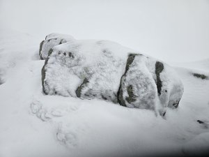 Very Poor Visibility and Wet Snowpack