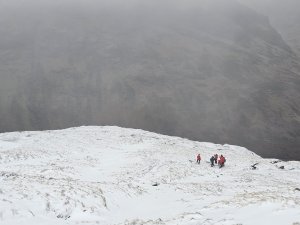 New Snow and Windslab