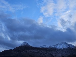 Bright with Sunshine