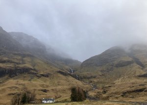 Firm despite the rain.