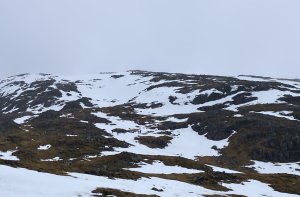 The snowpack remains very firm despite rain at all elevations.