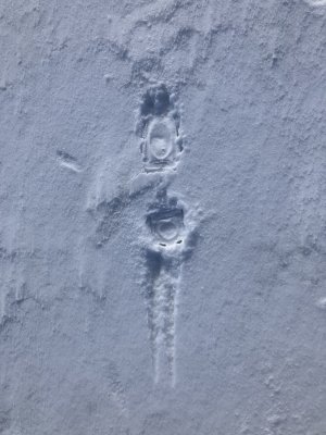 Dry clear, calm with sunshine….