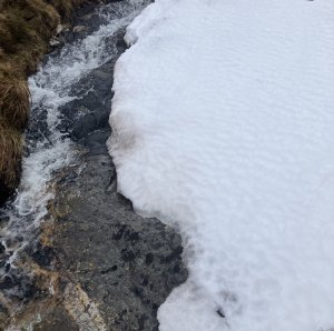 Mild,Wet and Windy…